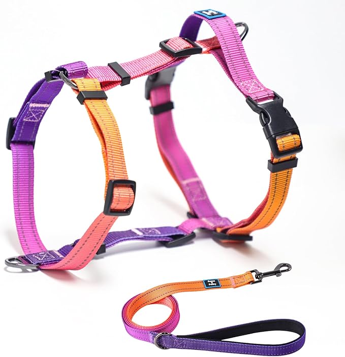 Roses&Poetry Puppy Dog Harness and Leash Set, No Pull Dog Harness Adjustable Reflective, Dog Halter Harnesses Comfort Padded Handle, Pet Harness for Training Outdoor Walking（Mistyrose-XS