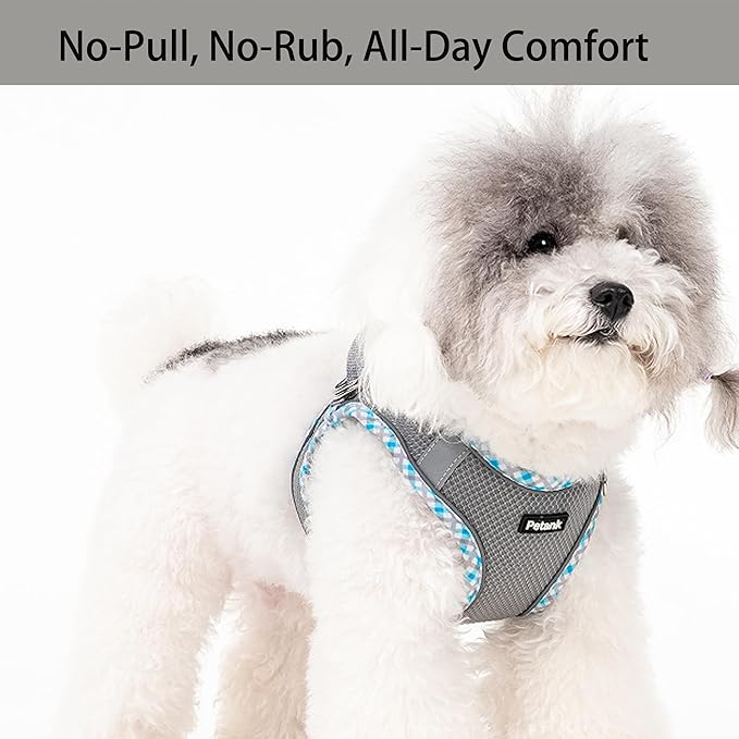 Petank Dog Harness for Small Medium Dogs No Pull, Puppy Harness and Leash Set for Walking, Running, Training, Small Dog Harness, Medium Dog Harness (Grey, S)
