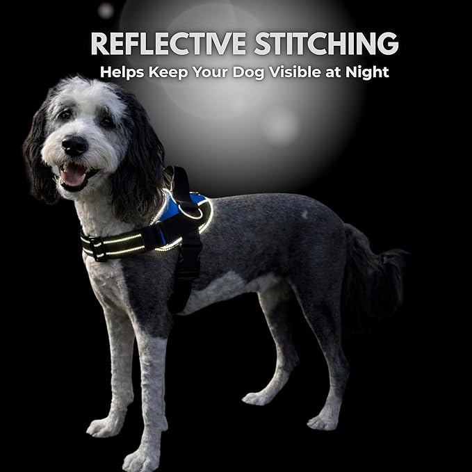 ShawnCo Essential Dog Harness, No-Pull Pet Vest with 3 Leash Clips, No Choke, Reflective, Adjustable and Padded, for Easy Walking and Training for Small, Medium and Large Dogs (Stars and Stripes, M)