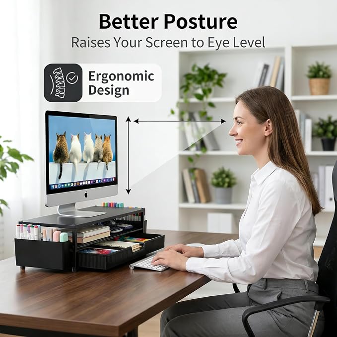 ECOLOVI Desk Organizer and Accessories, 2-Tier Computer Monitor Stand Rise