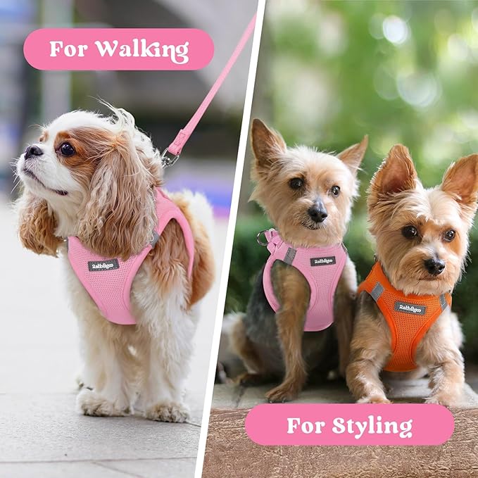 rabbitgoo Small Dog Harness, Step-in Soft Mesh Puppy Vest with Safety Buckle, Breathable Reflective Pet Harness for Extra Small Dogs, Light Pink XXS