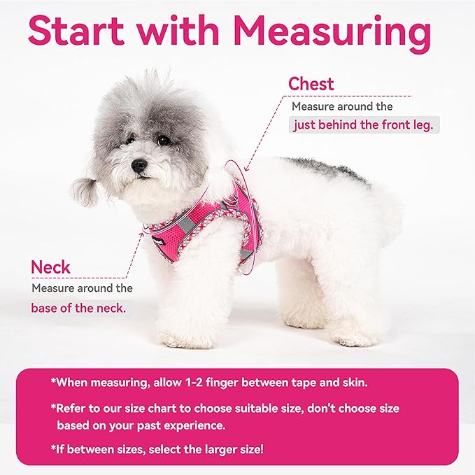 Petank Dog Harness for Small Medium Dogs No Pull, Puppy Harness and Leash Set for Walking, Running, Training, Small Dog Harness, Medium Dog Harness (Yellow, L)