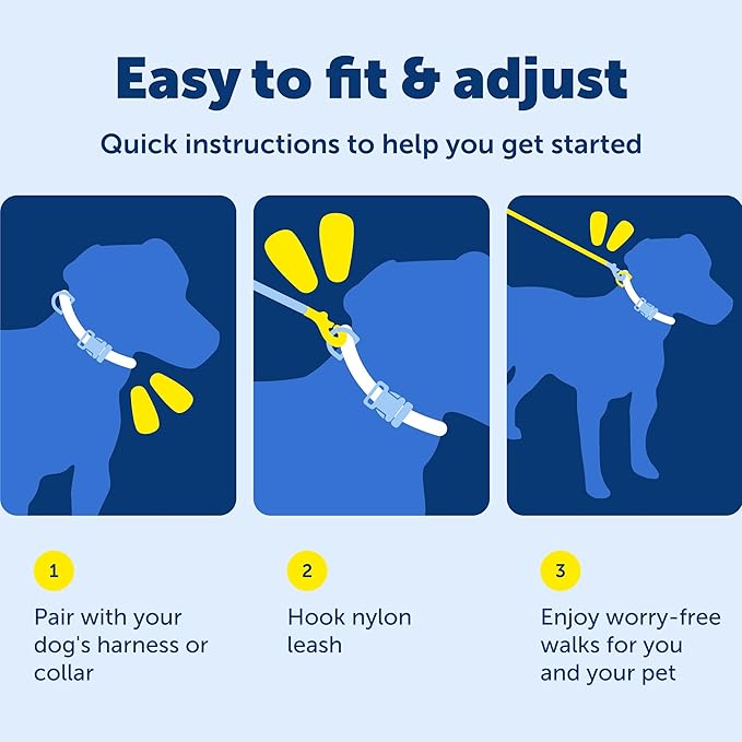 PetSafe Nylon Leash - Helps Maintain Secure Connection on Walks - Durable Pet Leash with Easy Clip - 1 in. x 6 ft. - Royal Blue