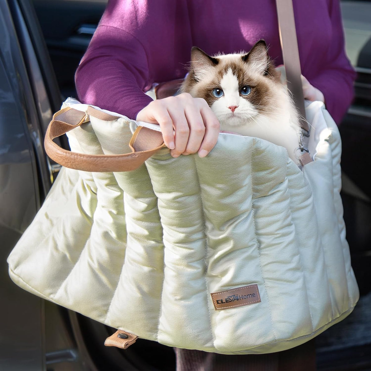 ClevaHome Small Dog Car Seat, Non-Slip Booster Seat for Dogs up to 10lbs