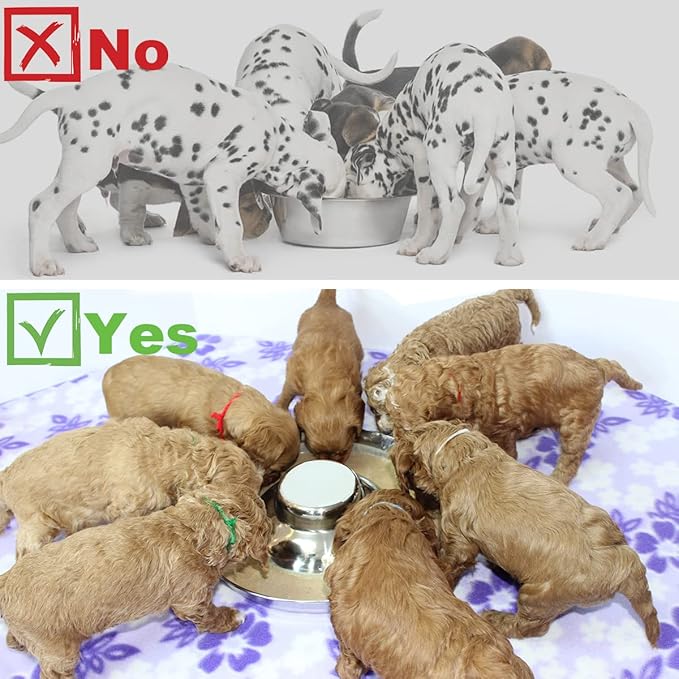 Stainless Steel Puppy Dog Bowls, Pets Puppies Feeding Food and Water Weaning Bowls Dishes Feeder, 10.3 Inch