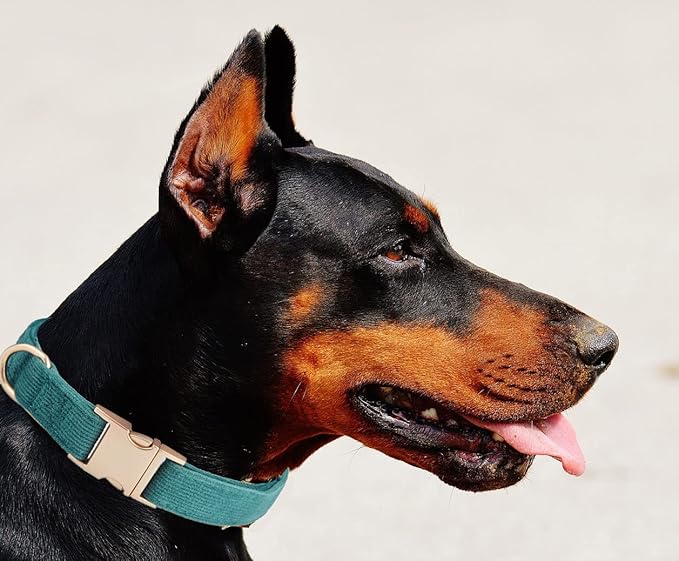 Soft Cotton Dog Collar with Metal Buckle Adjustable Heavy Duty Comfy Corduroy Collars for Small Medium Large Dogs,Dark Green,Small