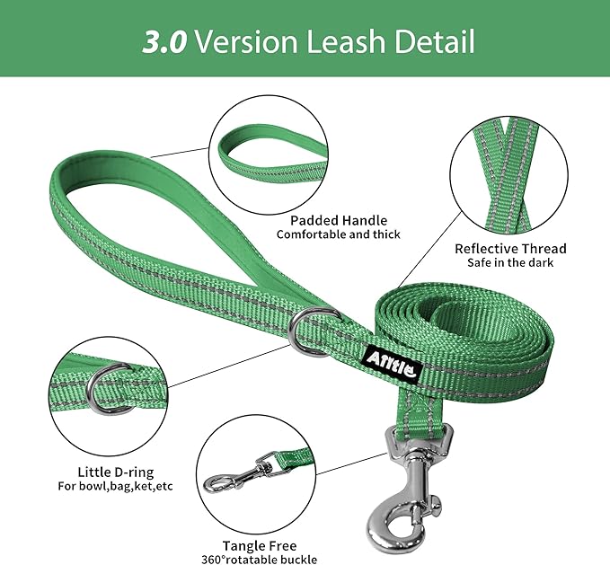 AIITLE Dog Harness, No-Pull Cat Harness with a Leash, Adjustable Reflective Dog Vest, Cat Harness Escape Proof, Outdoor Walking, Running,Training for Extra Small Dogs and House Cats Green XXXS