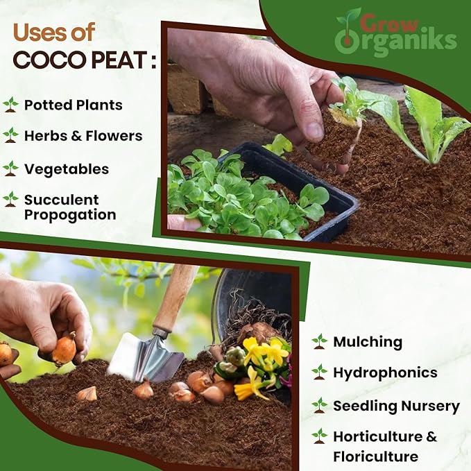 4 Pack Premium Coco Coir Brick for Plants | 100% Organic Compressed Coconut Coir Bricks Starting Mix, Coco Coir Fiber Coconut Husk for Planting, Gardening, Potting Soil Substrate, Herbs, 1.4 LB/Brick
