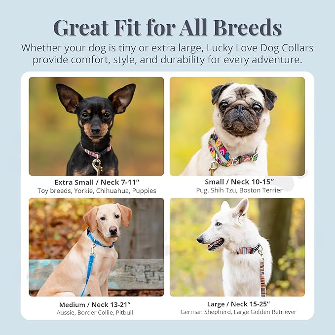 Lucky Love Dog - Adjustable Dog Collar with Easy Click Buckle for Small Dogs, Durable, & Comfortable for Male & Female Dogs, Pet Collar for Puppies & Adult Dogs - Laguna, Small