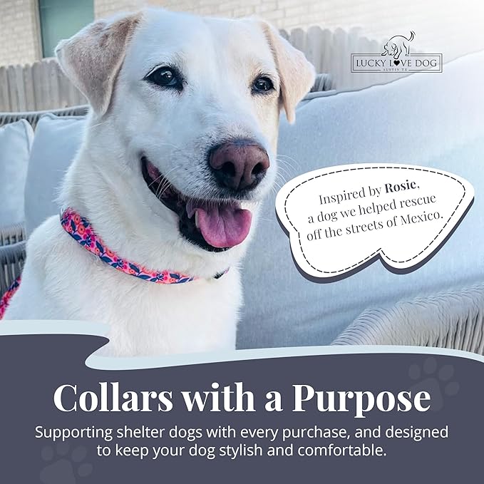 Lucky Love Dog - Adjustable Dog Collar with Easy Click Buckle for Medium, Durable, & Comfortable for Male & Female Dogs, Pet Collar for Puppies & Adult Dogs - Rosie, Medium