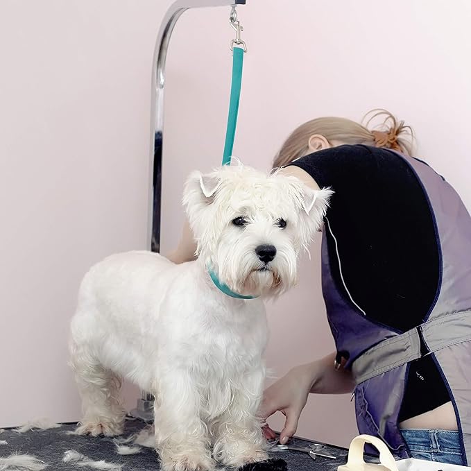 Jelly Pet Grooming Loop Slip Style (3/8" x 25", Purple) | Made in The USA