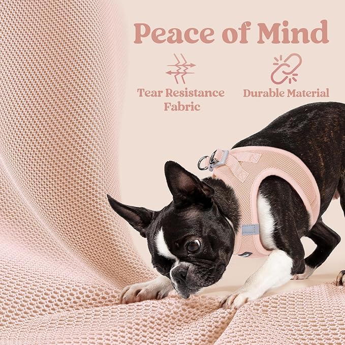 rabbitgoo Small Dog Harness, Step-in Soft Mesh Puppy Vest with Safety Buckle, Breathable Reflective Pet Harness for Extra Small Dogs, Pink XXXS