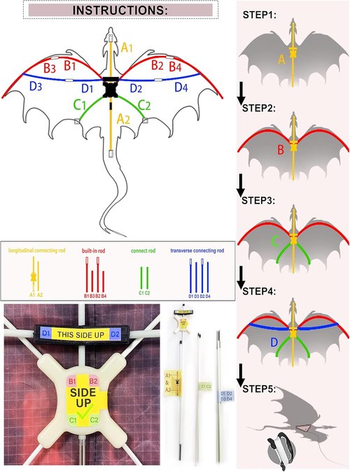 JEKOSEN Fiery Dragon Kite - 54" Easy-to-Fly Design with 160" Tail for Family Outdoor Fun
