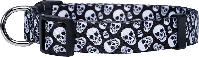 Native Pup Skull Dog Collar for Halloween (Medium, Skulls)