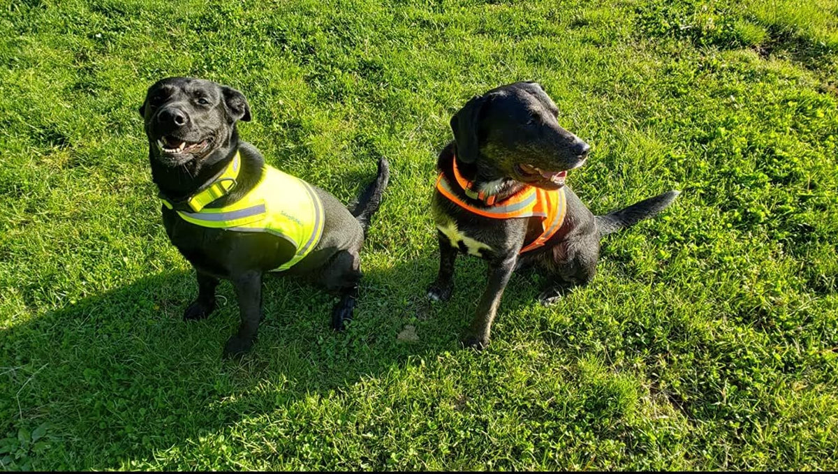 SafetyPUP | XD Lite Dog Vest - Reflective Hi-Visibility Coverage to Mid Back in Fluorescent Yellow
