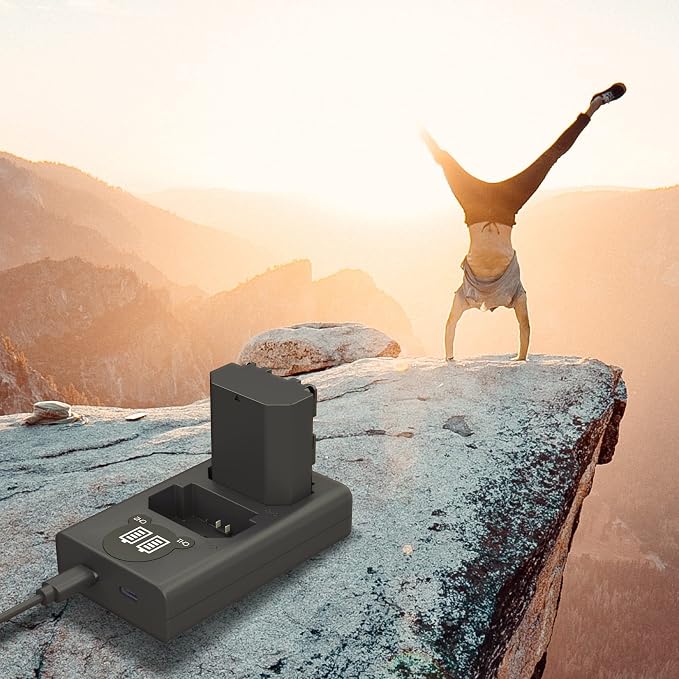LP NP-FZ100 Camera Battery Charger, Dual USB Charger