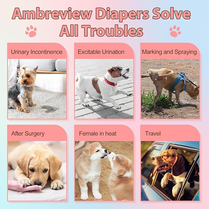 Ambreview Disposable Dog Diapers Female, Just Pull It Up, Doggie Diapers for Female Dogs, Strong Absorbency | Leak Proof, for Dogs in Heat | Elderly | Disabled, XL 10 PCS