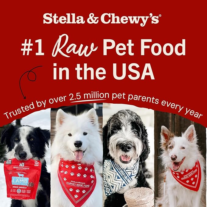Stella & Chewy's Freeze-Dried Raw Lamb Meal Mixers- Dog Food Topper and Mixer - Made with 95% Grass-Fed Lamb, Organs & Bone - Perfect for Picky Eaters - Grain-Free - 35 oz