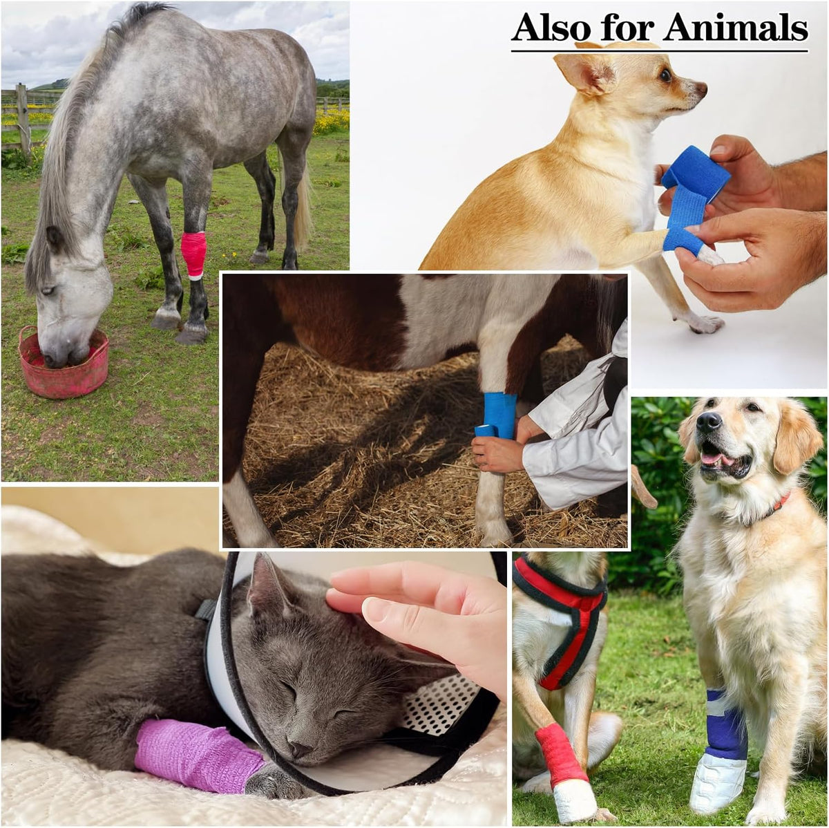 Skiennix Self-Adhesive Bandage Wraps - 6 Pcs, 5 Yards Each, 12 Color Options for Sports & Swelling