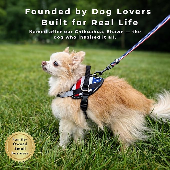 ShawnCo Essential Dog Harness, No-Pull Pet Vest with 3 Leash Clips, No Choke, Reflective, Adjustable and Padded, for Easy Walking and Training for Small, Medium and Large Dogs (White Sharks, S)