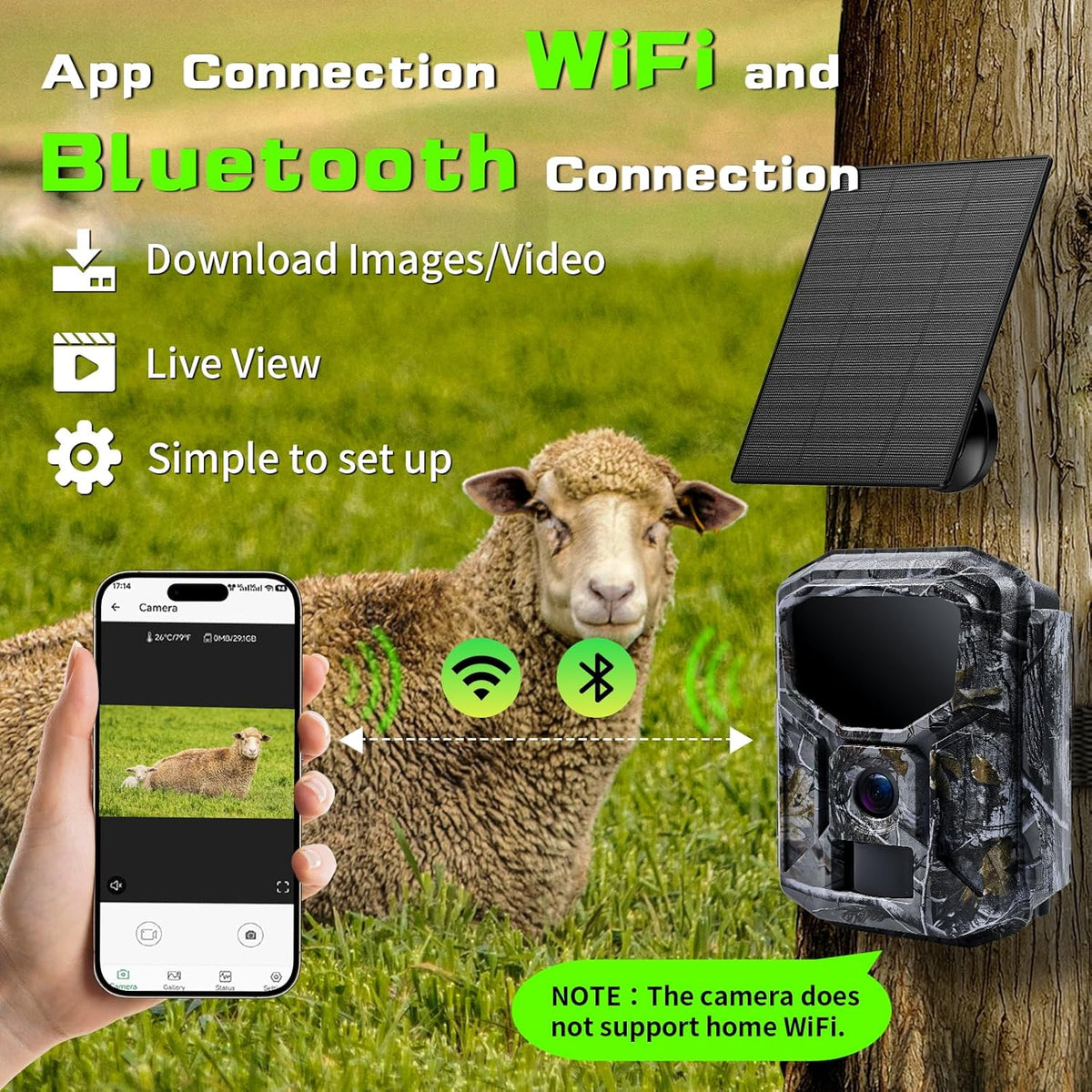 Trail Camera - Solar Powered 4K 60MP WiFi Game Camera with 0.1s Trigger & 7800mAh Battery | 65FT Detection, Night Vision, IP66 Waterproof, 32GB Card Included