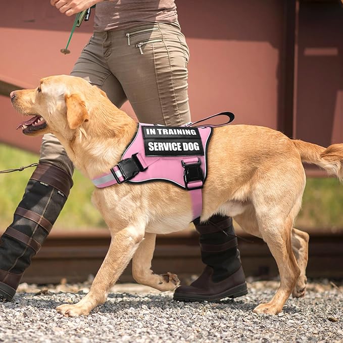 Service Dog Vest Harness and Leash Set+10 Patches,No Pull&Easy Walk Reflective Dog Harness with Soft Padded Handle for Training/Everyday,Fit Small/Medium/Large/Extra-Large Dogs(Pink M)