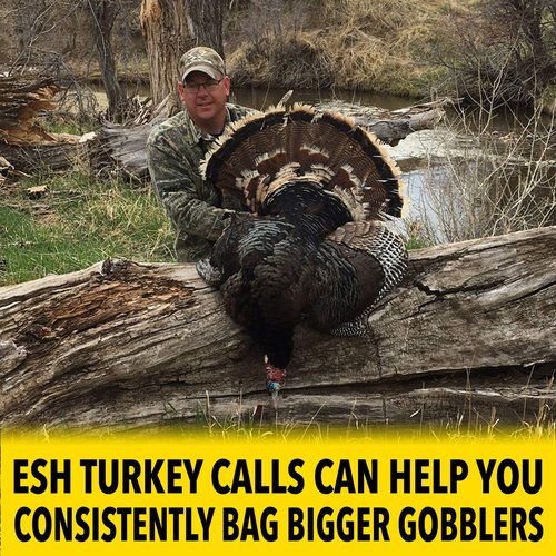 ESH Beginner Turkey Box Call – All-Weather Box Call for Turkey Hunting – Easy-to-Use Turkey Caller for Clucks, Yelps & Cutts – Beginner & Pro Friendly Hunting Call
