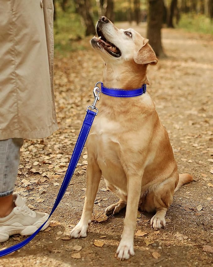 TagME Reflective Nylon Dog Collars, Adjustable Classic Pet Collar with Quick Release Buckle for Medium Dogs, Royal Blue, 1.0" Width
