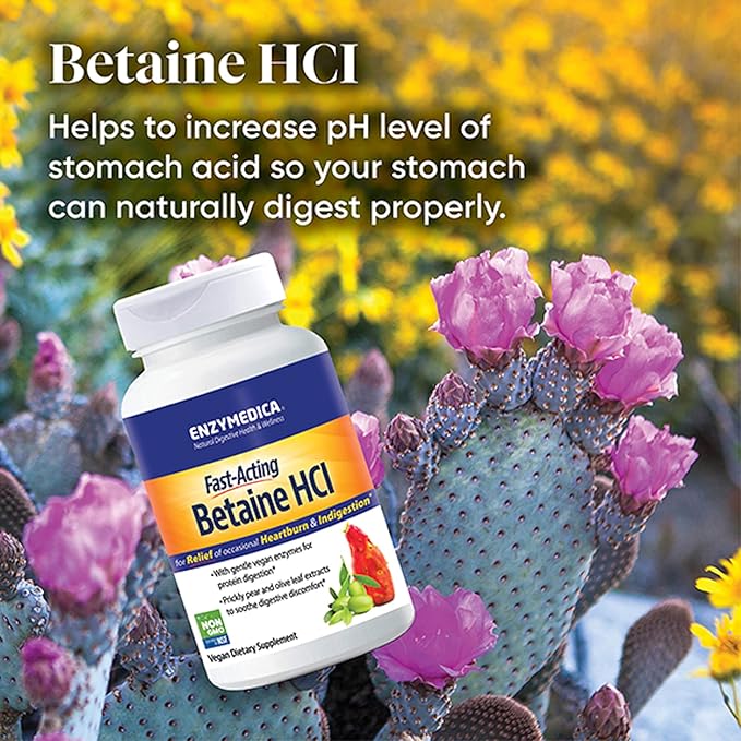 Enzymedica, Betaine HCl, Occasional Heartburn and Indigestion Support, 120 Capsules
