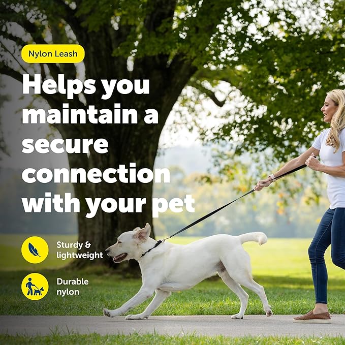 PetSafe Nylon Leash - Helps Maintain Secure Connection on Walks - Durable Pet Leash with Easy Clip - 1 in. x 6 ft. - Royal Blue