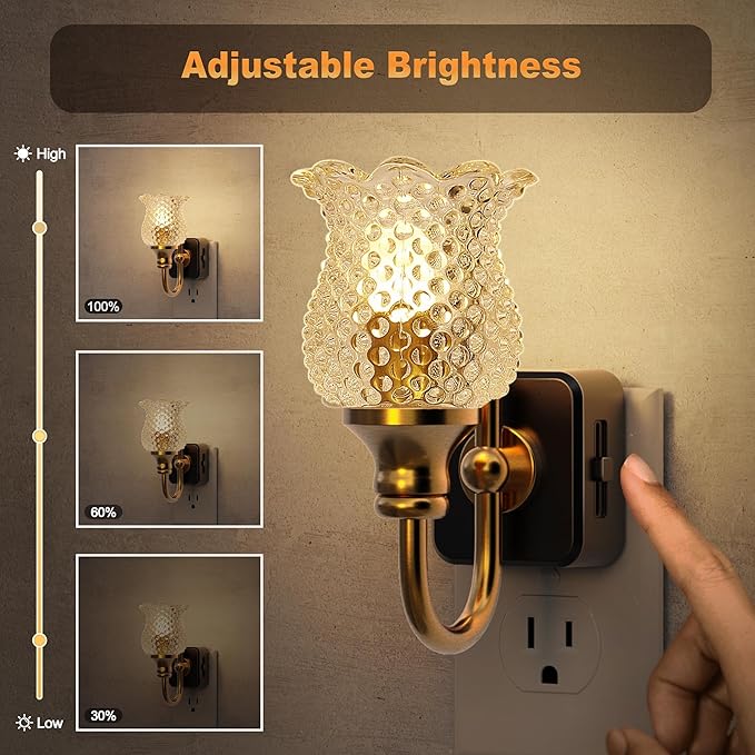 JandCase Night Light, Glass Night Lights Plug into Wall, Dimmable Floral LED