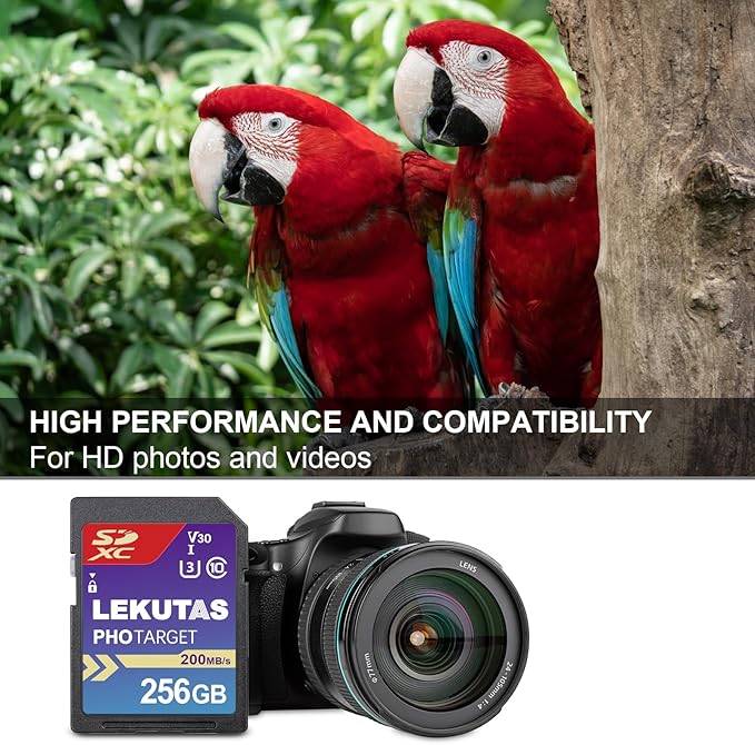 256GB SDXC UHS-I Memory Card