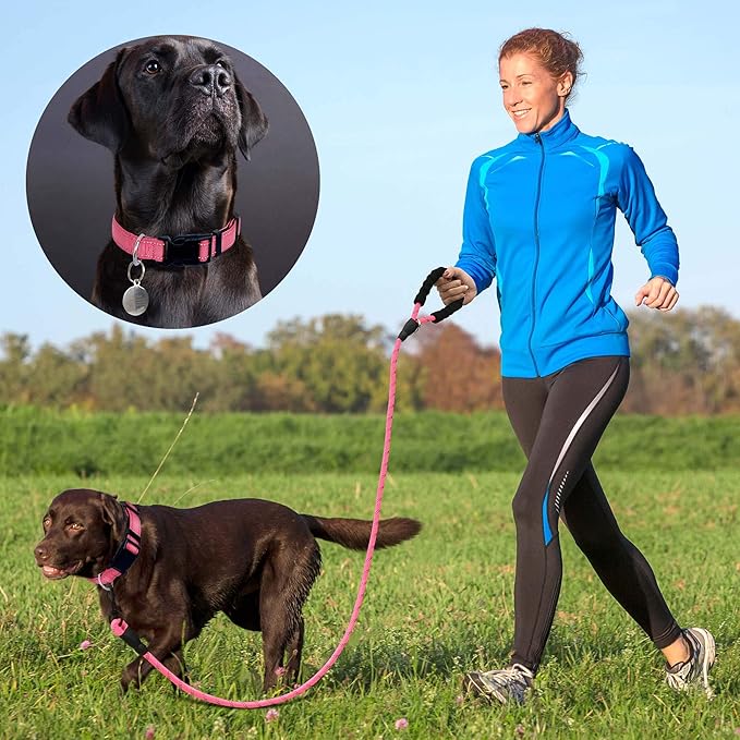 Reflective Dog Collar Padded with Soft Neoprene Breathable Adjustable Nylon Dog Collars for Small Medium Large Dogs (Medium (Pack of 1), Pink Collar+Leash)