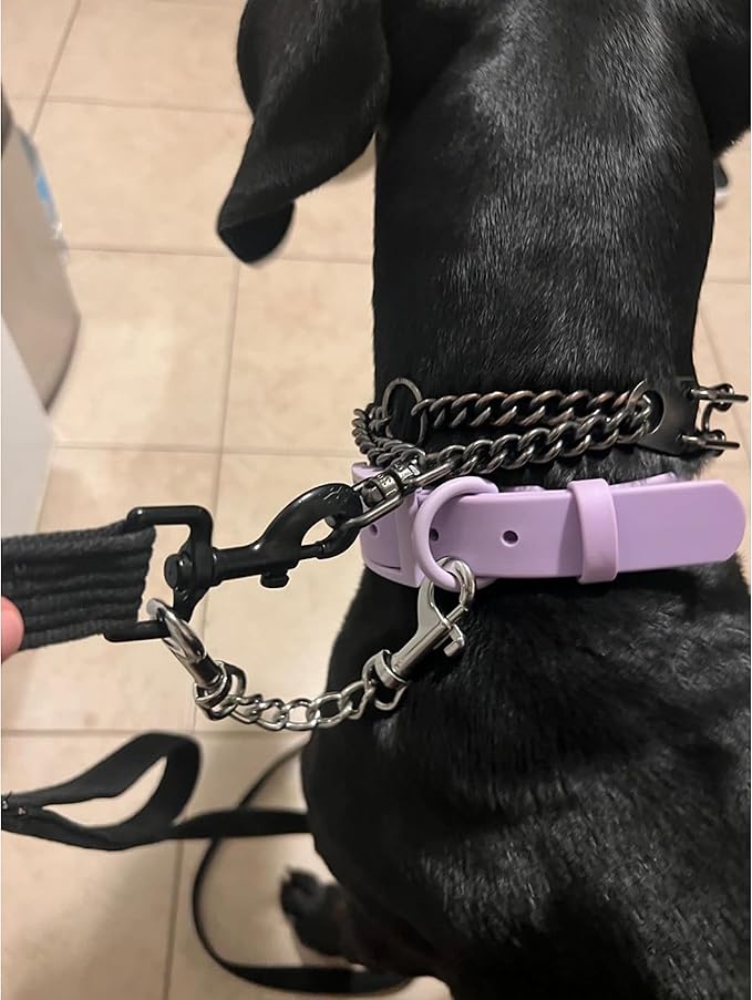 MOZETO Dog Collar Safety Clip, Stainless Steel Heavy Backup for Prong Collar, Dog Harness Collar Leash Connector (9 inches)