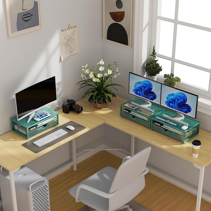 gianotter Computer Monitor Stand Riser, office organizer