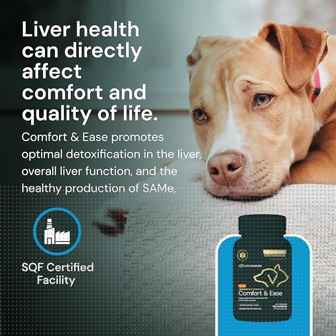 VETRISCIENCE Veterinary Strength Comfort & Ease Capsules - Mobility Supplement for Pets - Supports Aches from Normal Exercise - Joint Care for Dogs & Cats - 180 Count