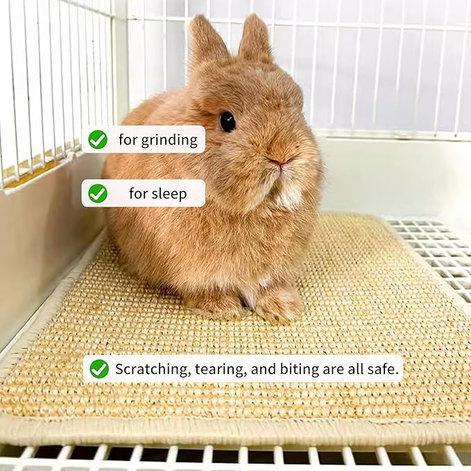 2PCS Rabbit Scratch Mat Natural Bunny Scratching Pad Claws and Teeth Care Rabbit Mats for Cages Chew Toys for Bunny Pet Cage Bedding for Biting Sleeping Nesting, 24x16