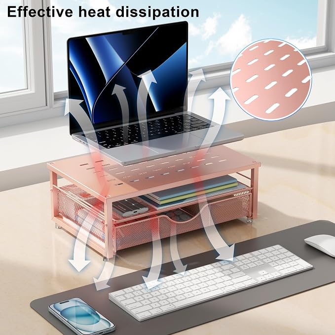 gianotter Computer Monitor Stand Riser, office organizer