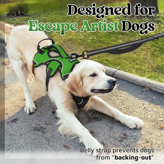 rabbitgoo Escape Proof Dog Harness, Soft Padded Full Body Pet Harness, Reflective Adjustable No Pull Vest with Lift Handle and Lesh Clip for Large Dogs Walking Hiking Training, L, Green