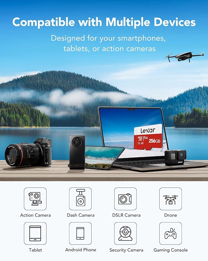 Lexar E-Series 256GB Micro SD Card, microSDXC UHS-I Flash Memory Card