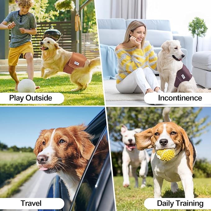 Washable Male Dog Diapers Reusable, Premium Dog Belly Bands for Male Dogs Medium, Pack of 3, High Absorbing Male Dog Pee Wraps for Doggie in Incontinence or Excitable Urination and Training(M)