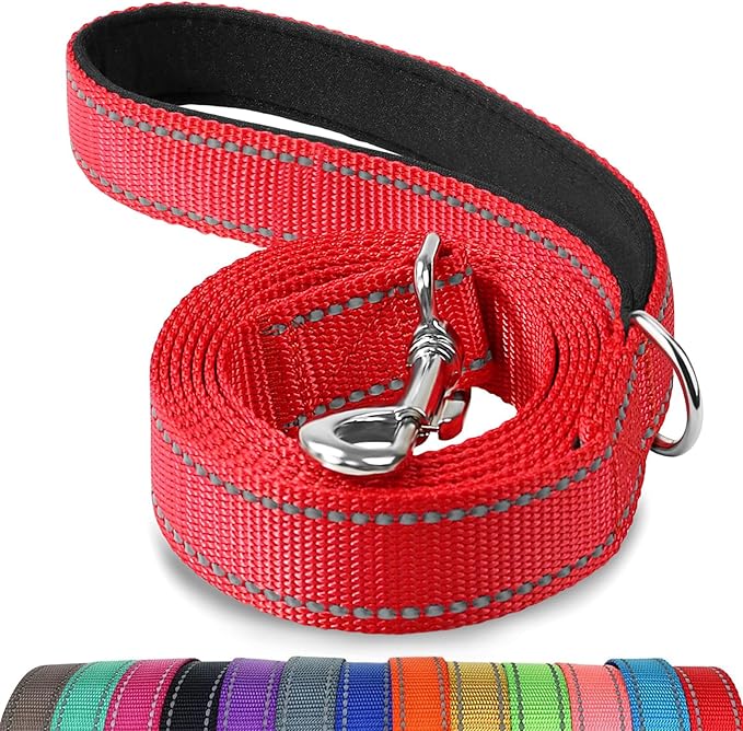 Joytale Dog Leash, 4 FT Double-Sided Reflective, Padded Handle Nylon Heavy Duty Leashes for Medium & Large Dogs Walking, Red
