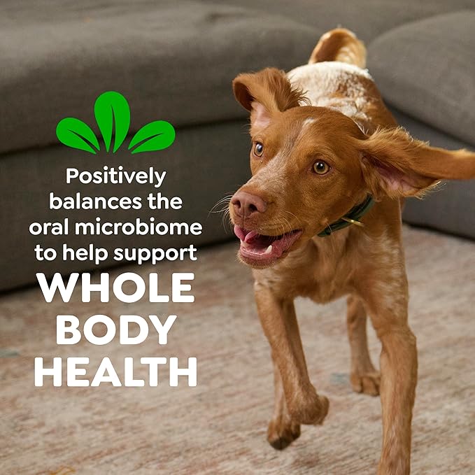 Greenies Veterinarian-Recommended Adult Natural Dental Dog Treats Petite Size, Sweet Potato Flavor, 12 oz. Pack, 20 Count