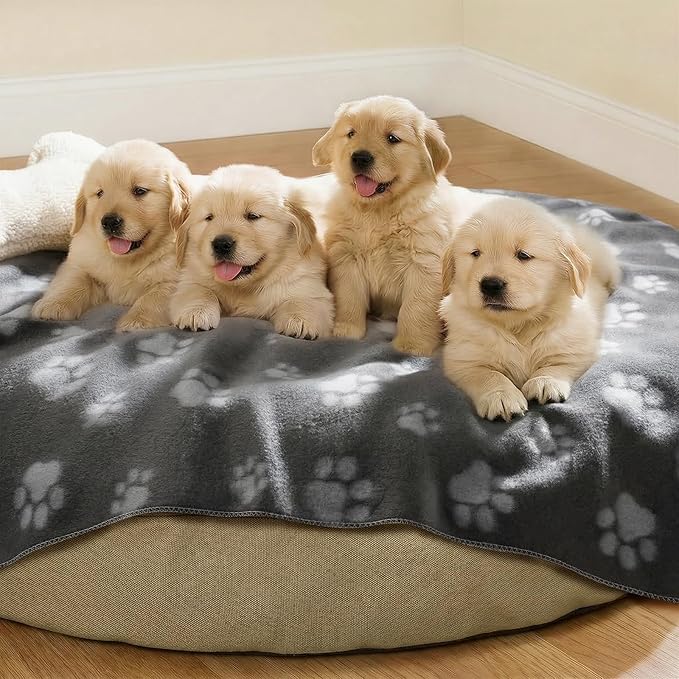 LINENLUX Cute Dog Blanket for Small Medium Dogs 6-Pack Soft Stretchy Fleece Blankets for Pet Cat Puppy Warm Wrinkle-Resistant Throw for Couch Bed Outdoor Grey 45x31 inch (Pack of 6)
