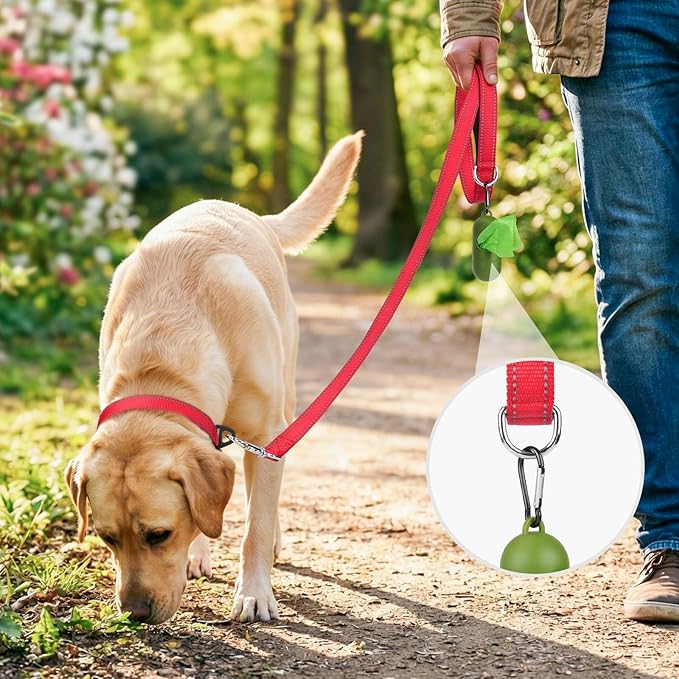 Joytale Dog Leash, 6 FT Double-Sided Reflective, Padded Handle Nylon Heavy Duty Leashes for Small Dogs Walking, Red