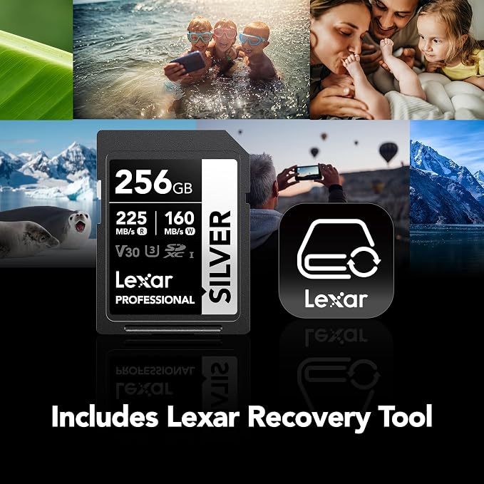 Lexar 256GB Professional Silver SD Card,