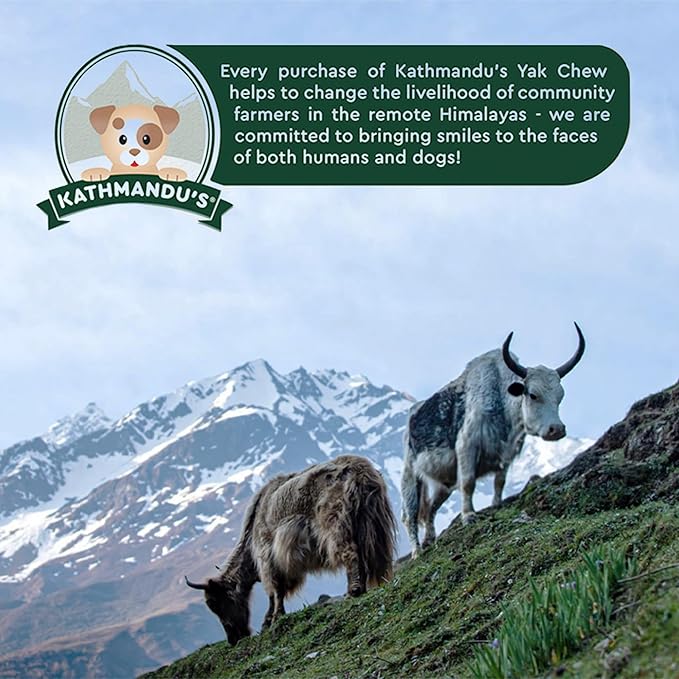 KATHMANDU'S - 100% Natural Himalayan Cheese Dog Chews - for Small Dogs (Pack of 15) - for Improved Dental Hygiene & Protein-Rich Nutrition, No Preservatives
