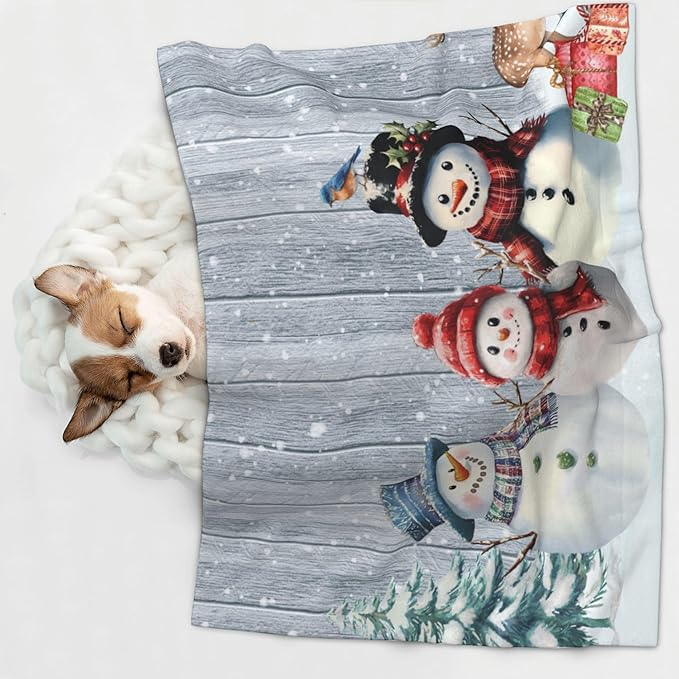 Winter Snowman Throw Blanket - Wodden Blanket for Dog Cat Snowy Pet Blankets 40x30 for Couch Sofa Bed