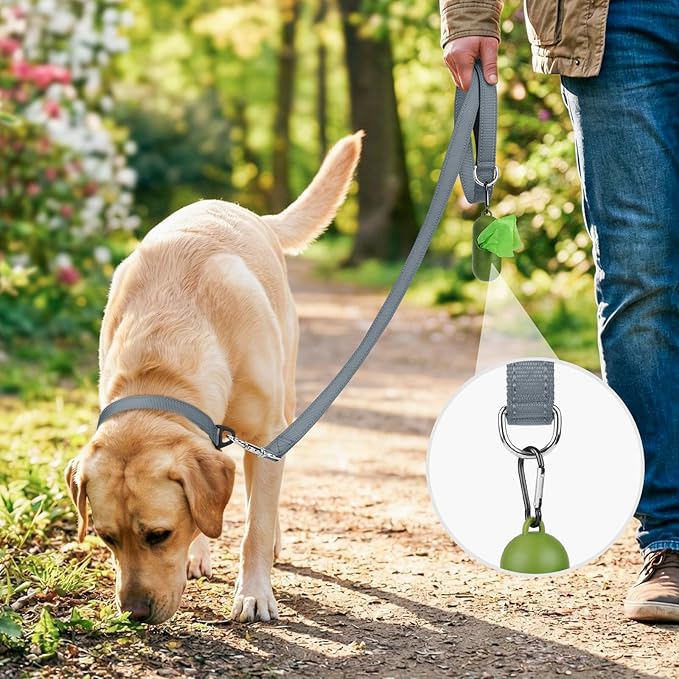 Joytale Dog Leash, 4 FT Double-Sided Reflective, Padded Handle Nylon Heavy Duty Leashes for Small Dogs Walking, Grey
