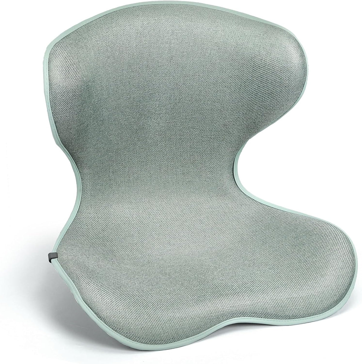 Season Guard Ergonomic Lumbar Support Pillow, Back Pain Posture Corrector